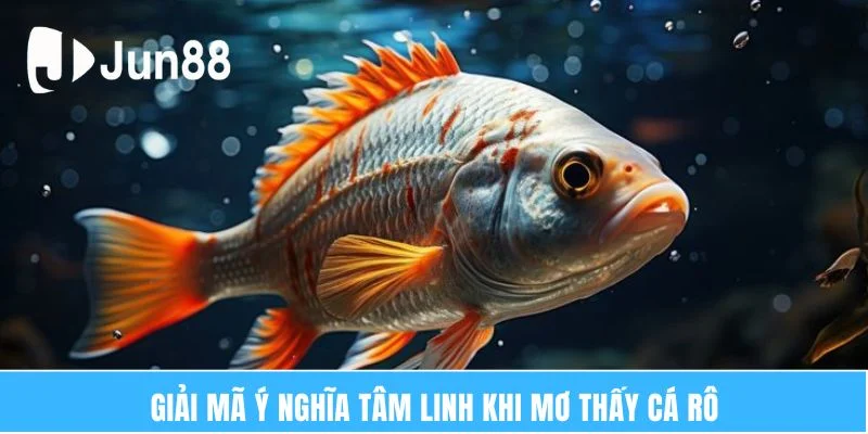 Giải mã ý nghĩa tâm linh khi mơ thấy cá rô