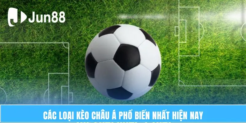 Kèo Châu Á – Hành Trình Khám Phá Dễ Dàng Giành Chiến Thắng 7 Các loại kèo châu Á phổ biến nhất hiện nay