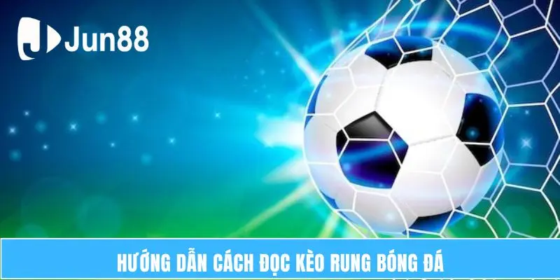 Hướng dẫn cách đọc kèo rung bóng đá 