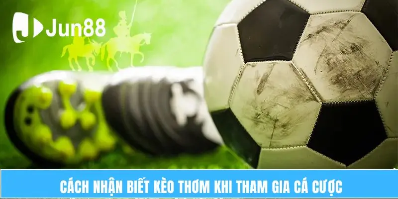 Cách nhận biết kèo thơm khi tham gia cá cược