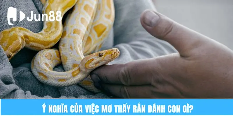 Giấc Mơ Thấy Rắn Đánh Con Gì – Phân Tích Chi Tiết 2025 5 Ý nghĩa của việc mơ thấy rắn đánh con gì?
