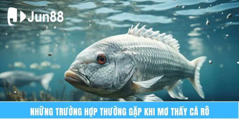 Những trường hợp thường gặp khi mơ thấy cá rô